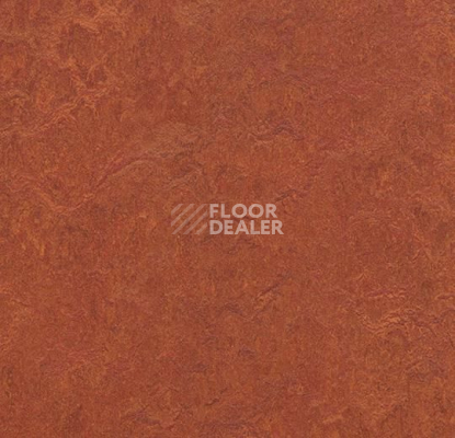 Линолеум Forbo Marmoleum Marbled Fresco 3203-320335 henna фото 1 | FLOORDEALER